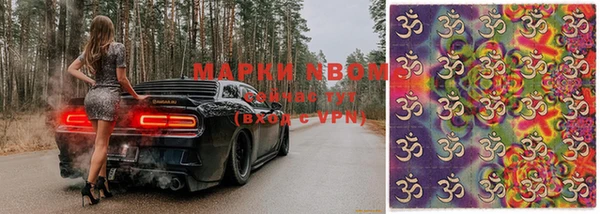 гашик Володарск