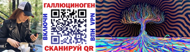 закладка  Калач  Галлюциногенные грибы Psilocybine cubensis 